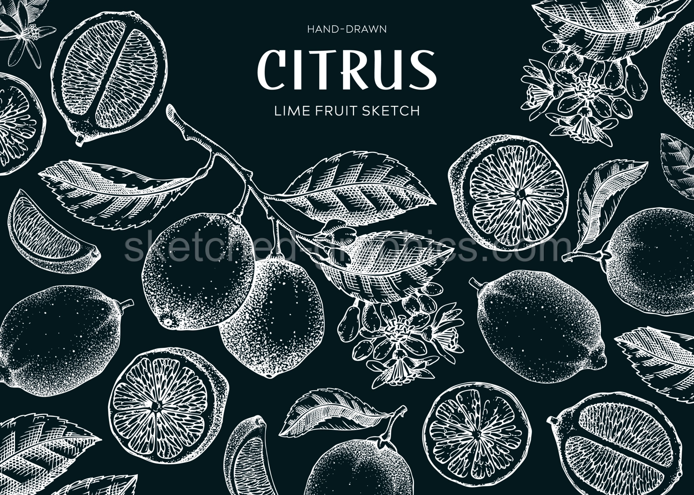 Lime fruit frame. Exotic plants design template. Citrus fruit sketches on chalkboard. Summer background. Hand drawn vector illustration. NOT AI generated Illustration
